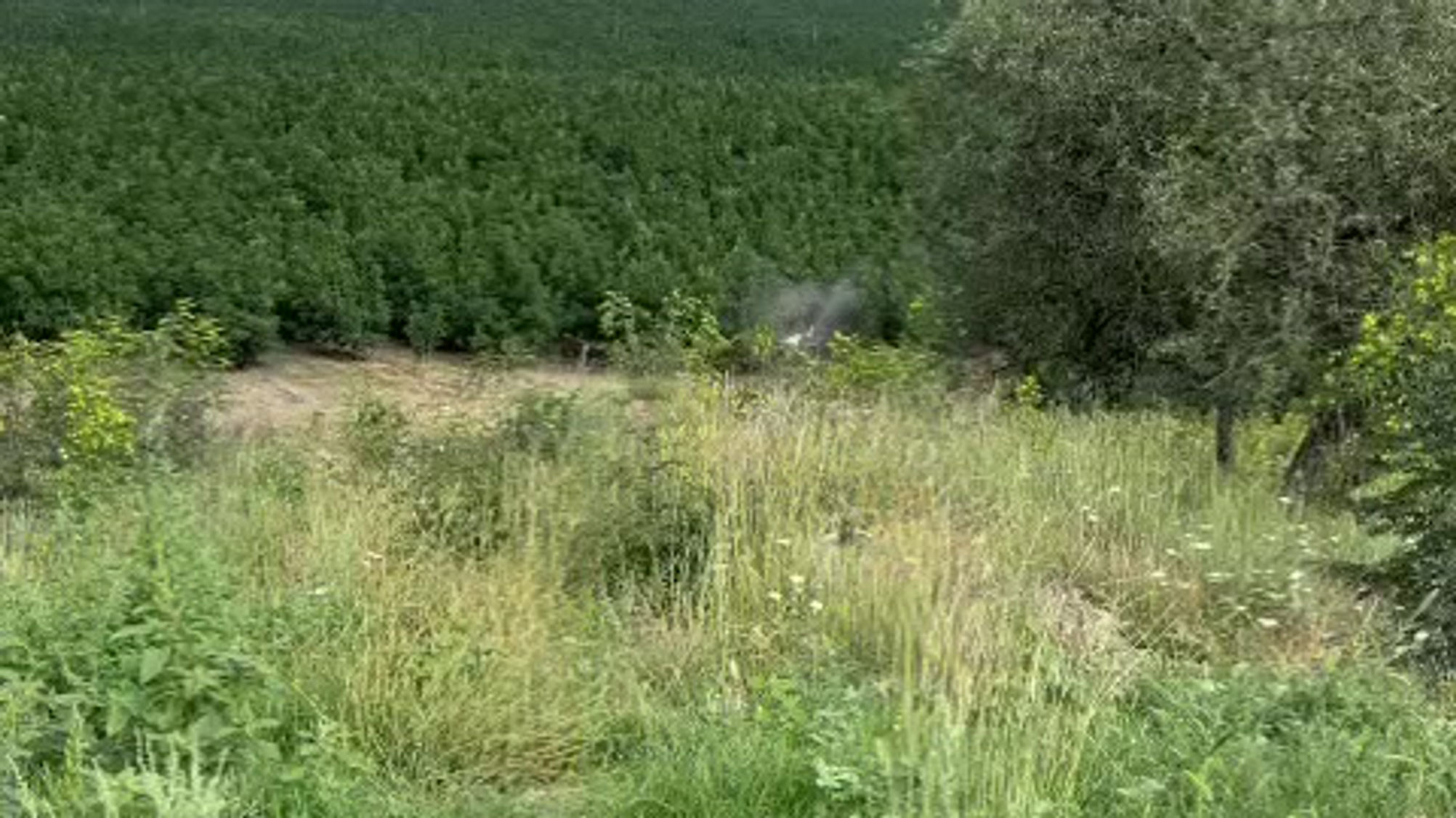 All Videos